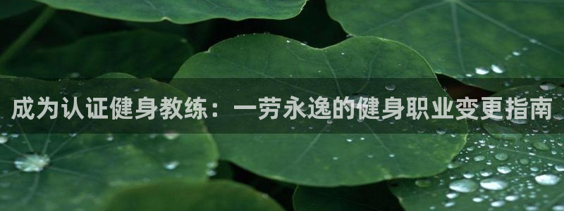 龙8国际手机官网下载安装