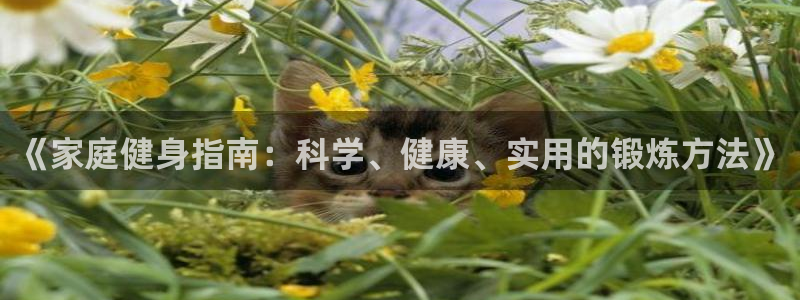 龙8国际游戏官方进入的介绍