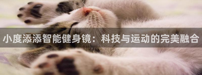 龙八国际娱乐官网下载