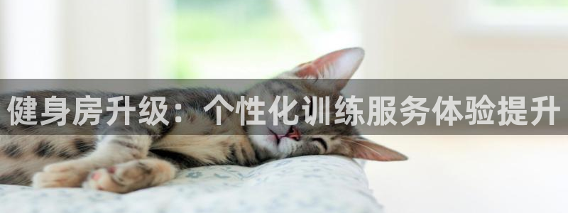 龙8电子游艺网址多少