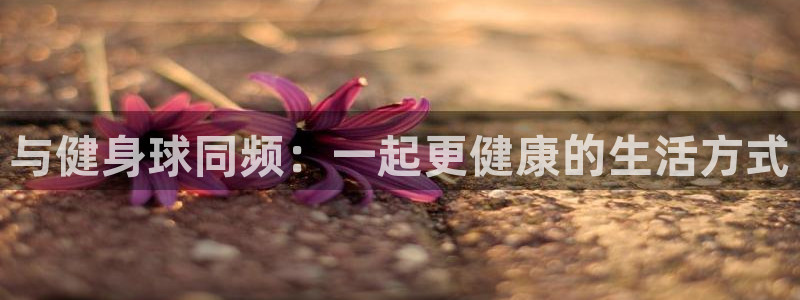 龙8国际官网 - 点此进入