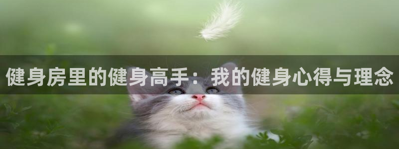龙八国际下载官网平台