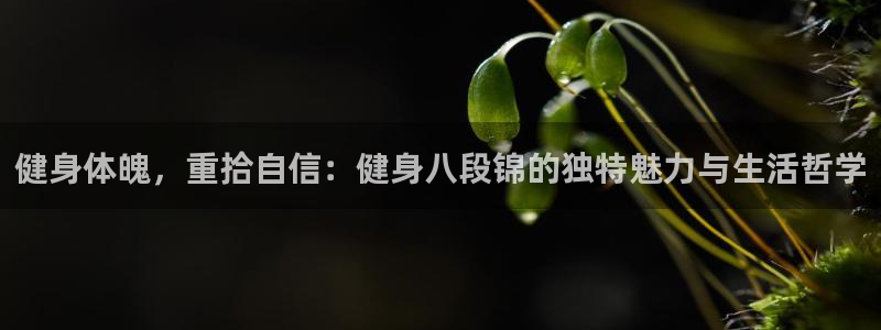 龙8国际long8官方版下载