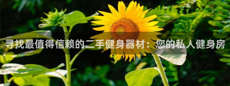 龙8国际龙8客户端