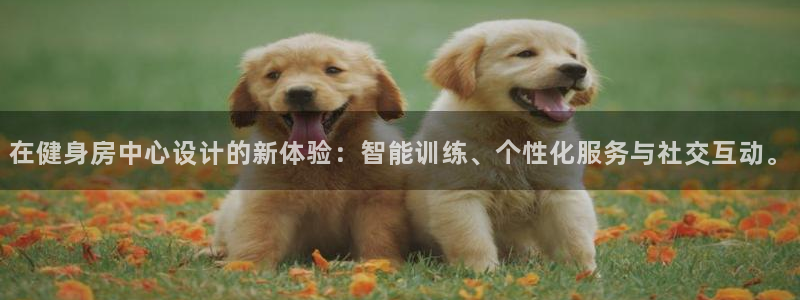 龙8手机游戏官网