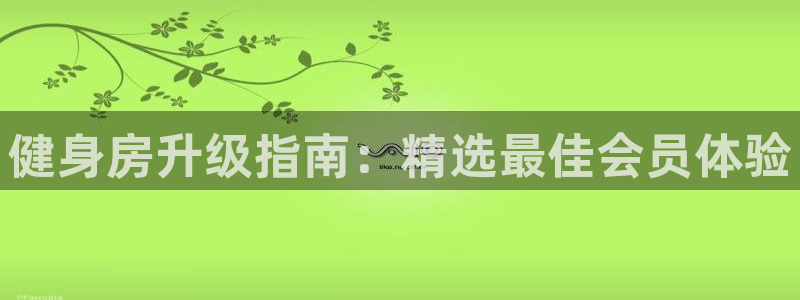 龙8国际龙8官方