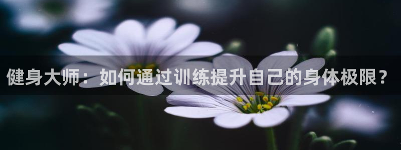 龙8娱乐官方老虎机中国大陆