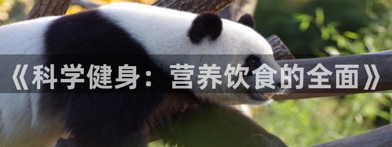 龙8国际龙8官方