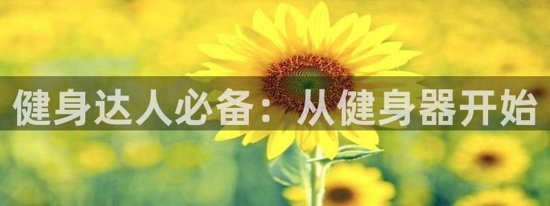 龙8国际long8官方版下载