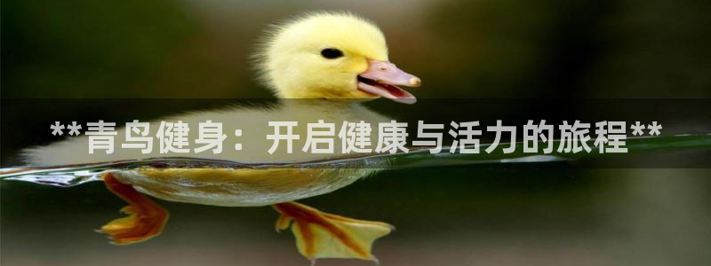 龙八国际娱乐网页多少